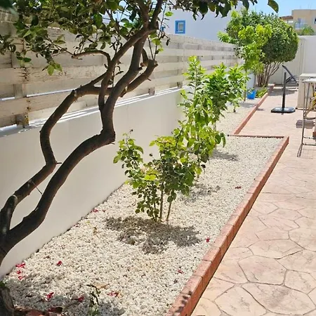 Amaryllis Holiday home Paralimni