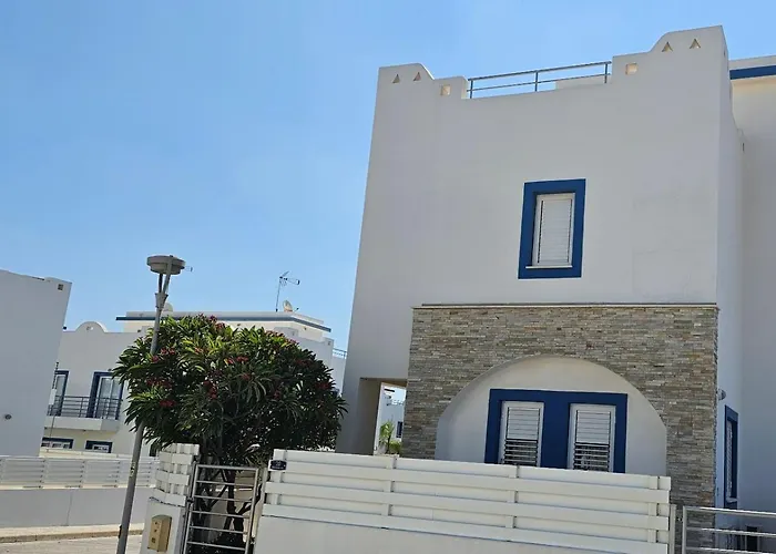 Amaryllis * Paralimni