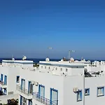 Amaryllis * Paralimni