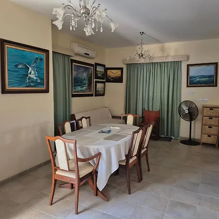 Amaryllis * Paralimni