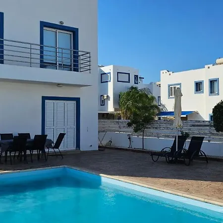 Amaryllis Nyaraló *