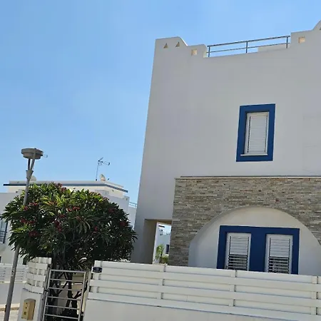 Amaryllis * Paralimni