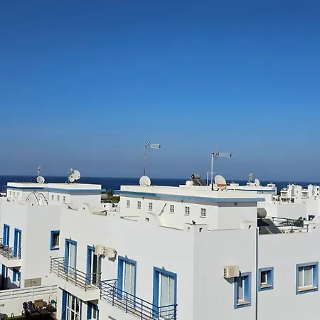 Amaryllis * Paralimni