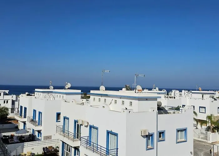 Amaryllis * Paralimni