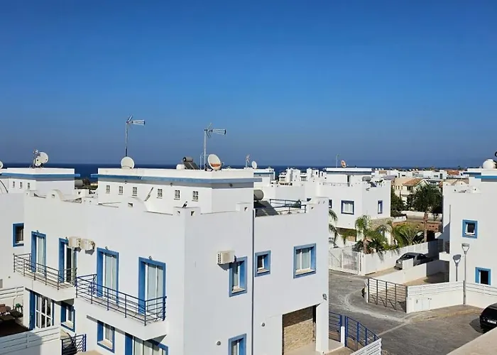 Amaryllis * Paralimni